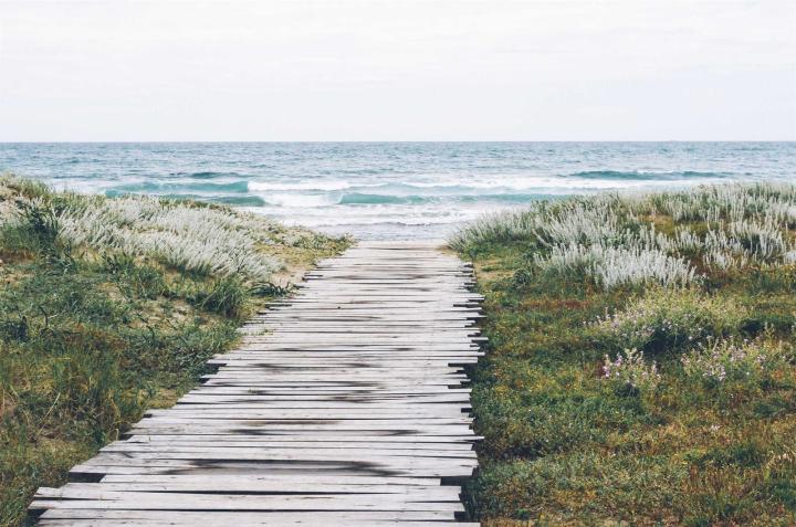 A wooden boardwalk through dune grass to the sea